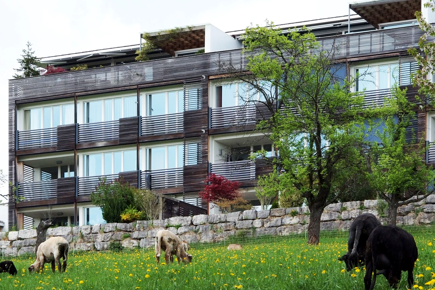 kzp2001-123-05_neubau-sunnywoods_zuerich-hoengg-zh